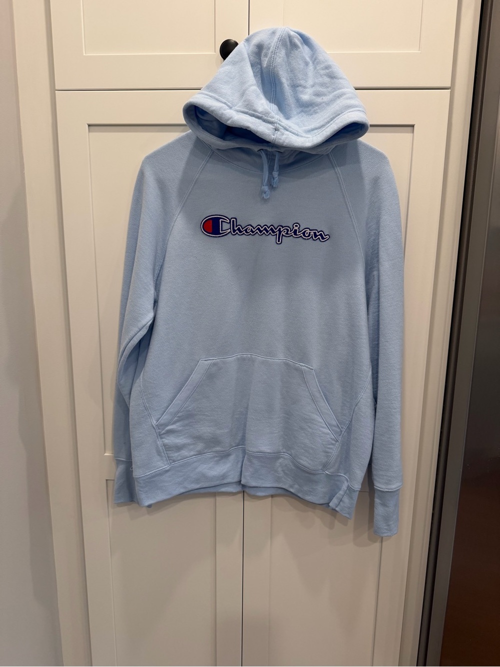 Champion Light Blue Hoodie